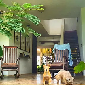 El Hotelito At The Rainforest Experience Farm Fajardo